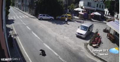 Evrenye Köyü Kastamonu İnebolu Canlı Mobese izle