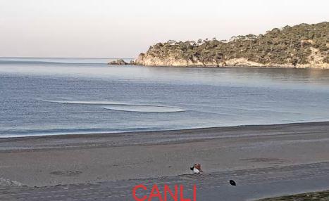 Fethiye Canlı Kamera Buzz Beach Bar izle