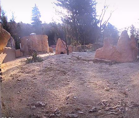 Ljubljana Zoo Webcam Hayvanat Bahcesi izle