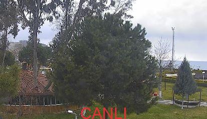 Ünye Atatürk Parkı Canlı Kamera izle