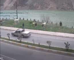 Gümüşhane Kürtün Barajı Canlı izle