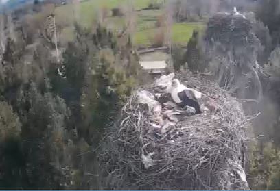 Konya Adaköy Leylekler Vadisi Canlı izle