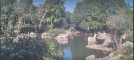 Bursa Su Kuşları Canlı izle