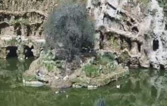 İstanbul Emirgan Canlı Mobese izle