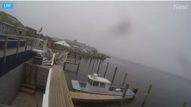 Palms Hotel Okyanus Sahili Canlı izle