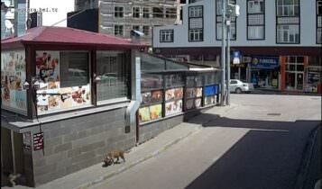 Trabzon Çaykara Canlı Kamera izle