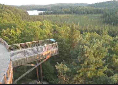 Algonquin Park Kanada Canlı izle