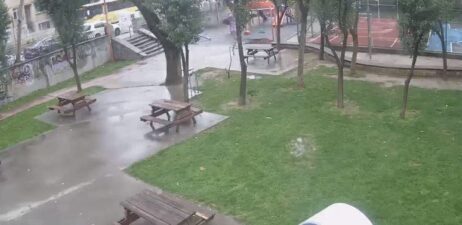 Hz Halit Parkı Kamera Canlı izle