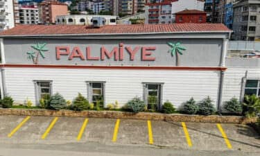 Palmiye Düğün Salonu Giresun Canlı Yayın