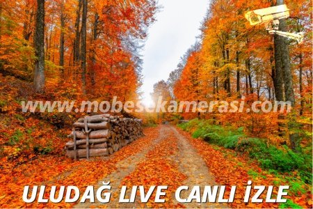 Uludağ Canlı İzle Manzara 3