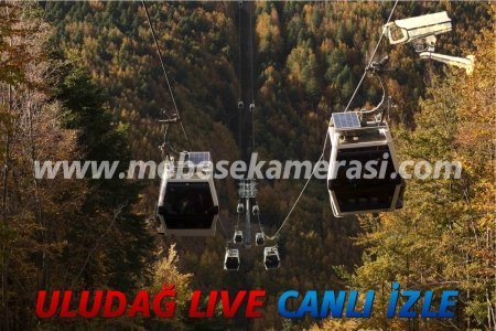 uludag gezi canli izle