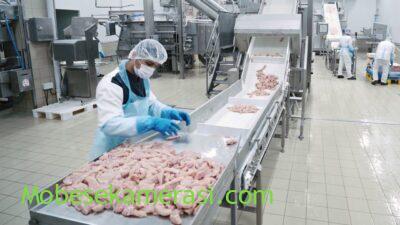 Izmir Lezita Canlı Tavuk Kesimi izle