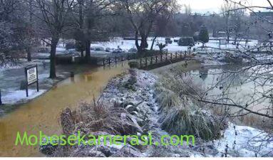 Denizli Çınar Meydanı Canlı Yayın izle