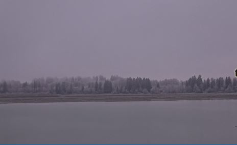 Almanya Füssen Canlı izle