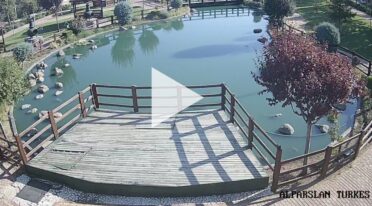 Meram Alparslan Türkeş Caddesi Canlı Park Alanı izle