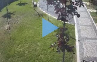 Çayırova Akse Huzur Parkı Canlı Mobese izle