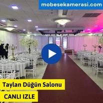 Taylan Düğün Salonu Canli Yayin izle