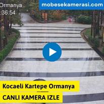 Kocaeli Kartepe Ormanya Canlı Kamera izle
