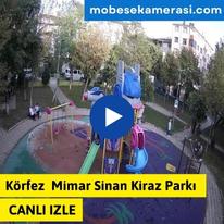 Körfez Mimar Sinan Kiraz Parkı Canlı izle