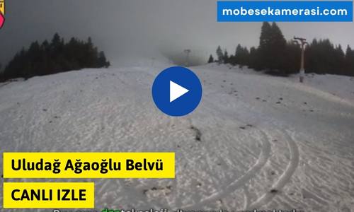 Uludağ Ağaoğlu Belvü Canlı Kamera izle