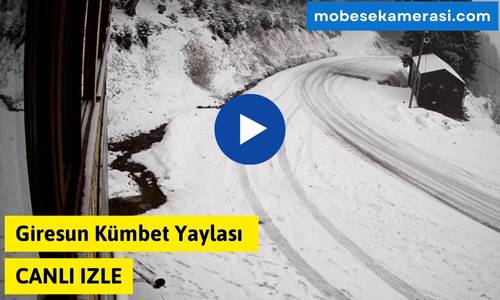 Giresun Kümbet Yaylası Canlı izle