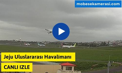 Jeju Uluslararası Havalimanı Canlı Kamera izle