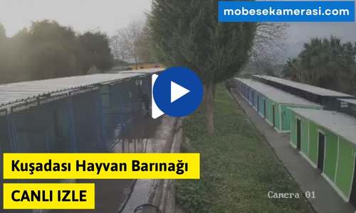 Kuşadası Hayvan Barınağı Canlı izle