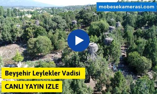 Beyşehir Leylekler Vadisi Canlı Yayın izle