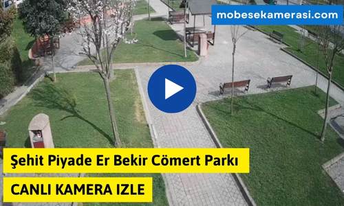 Şehit Piyade Er Bekir Cömert Parkı Canlı izle