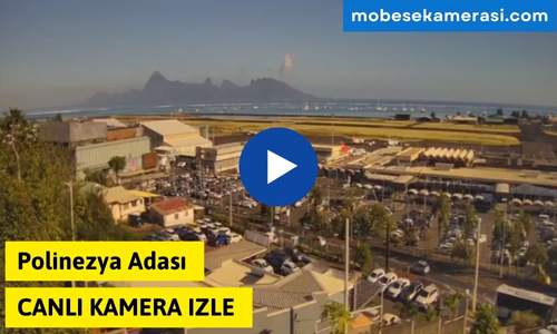Polinezya Adası Canlı Kamera izle
