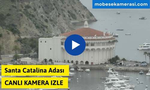 Santa Catalina Adası Canlı Kamera izle