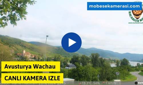 Avusturya Wachau Canlı Kamera izle