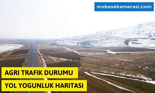 Ağrı Diyadin Trafik Durumu Yol Yoğunluk Haritası